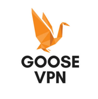 GOOSE VPN